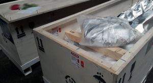 3S Transport delivery 6